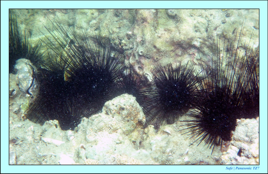 2011 - 03 - Koh Ngai 061